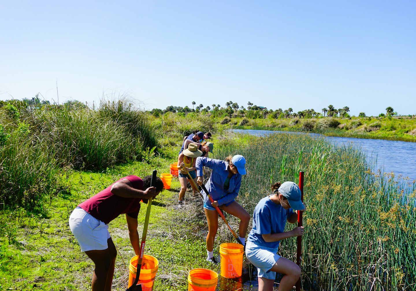 People digging and planting by a blue river with palm trees.